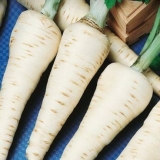 Kako uzgajati pastrnjak iz sjemena kroz rasad i direktnu sjetvu u otvoreno tlo